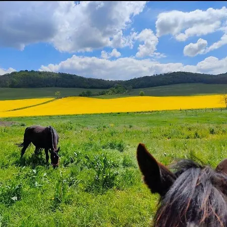 Harom Dio Vendeghaz Nyim