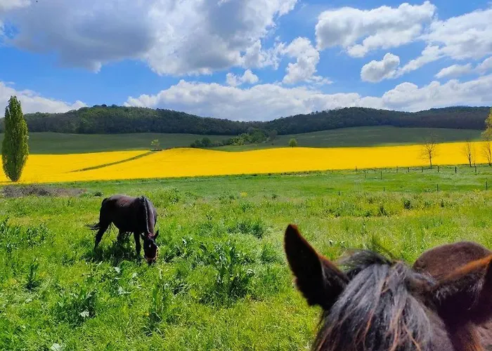 Harom Dio Vendeghaz Nyim